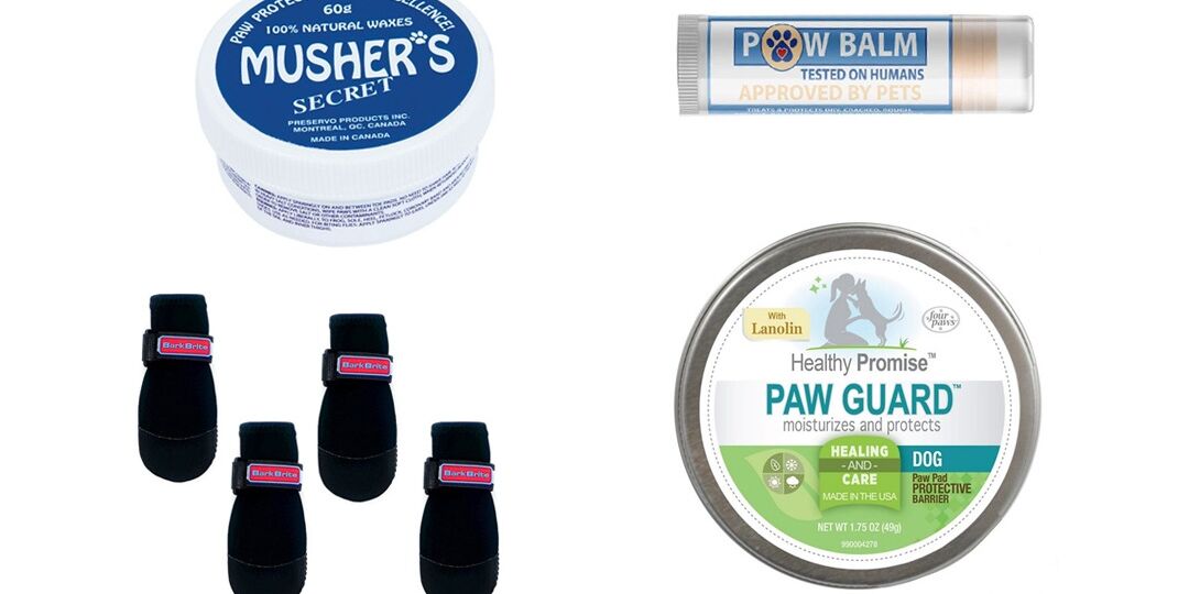 Cold-Weather Dog Gear to Save Your Pup’s Paws | NurturedPaws.com/Blog