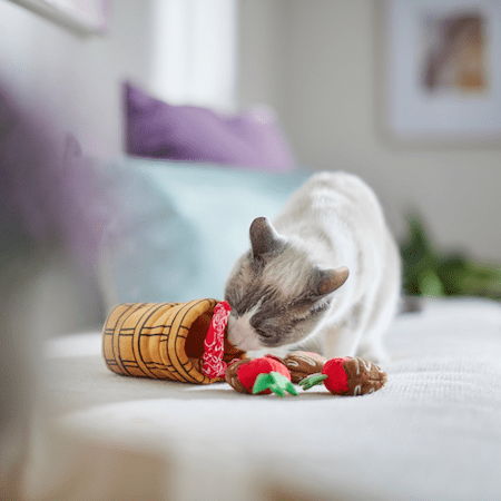 Valentine's Day Pet Gifts from Chewy | NurturedPaws.com/Blog