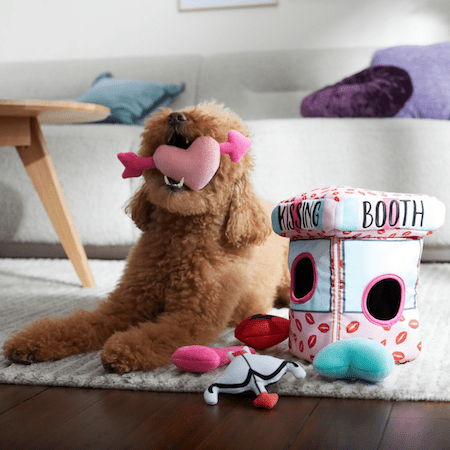 Valentine's Day Pet Gifts from Chewy | NurturedPaws.com/Blog