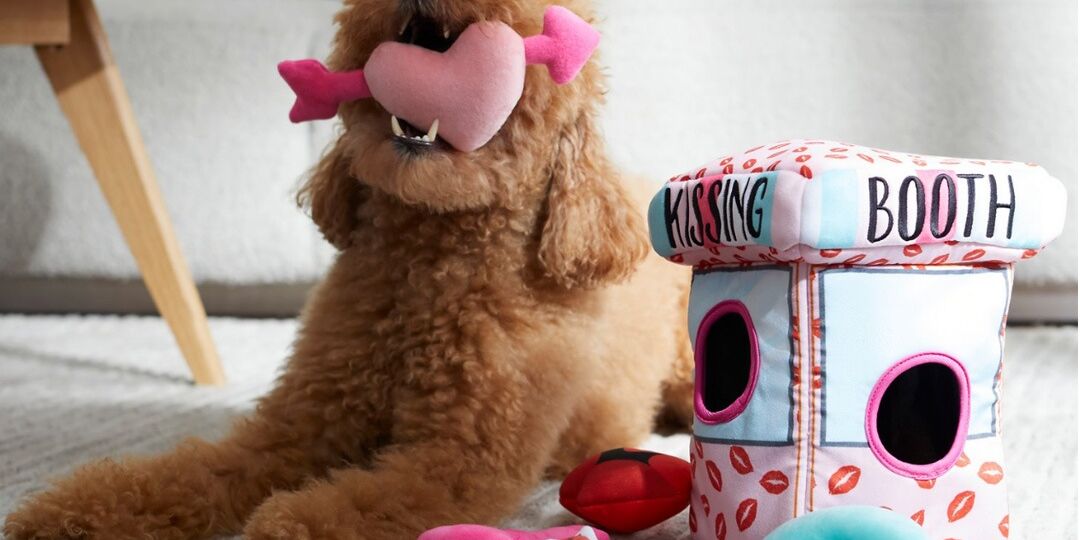 Valentine's Day Pet Gifts from Chewy | NurturedPaws.com/Blog