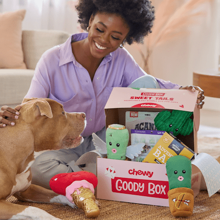 Valentine's Day Pet Gifts from Chewy | NurturedPaws.com/Blog