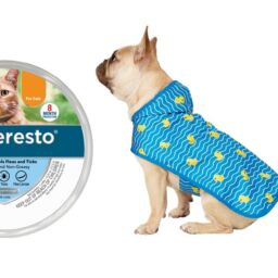 Spring Essentials for Your Pet from Chewy | NurturedPaws.com/Blog