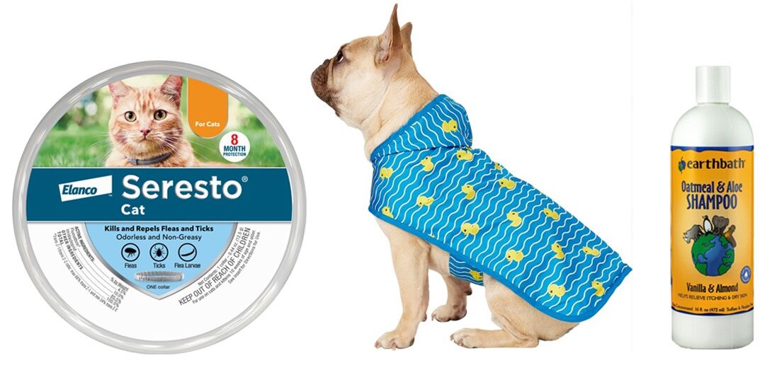 Spring Essentials for Your Pet from Chewy | NurturedPaws.com/Blog