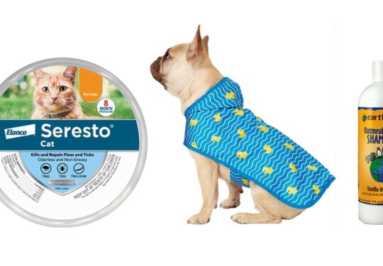 Spring Essentials for Your Pet from Chewy | NurturedPaws.com/Blog