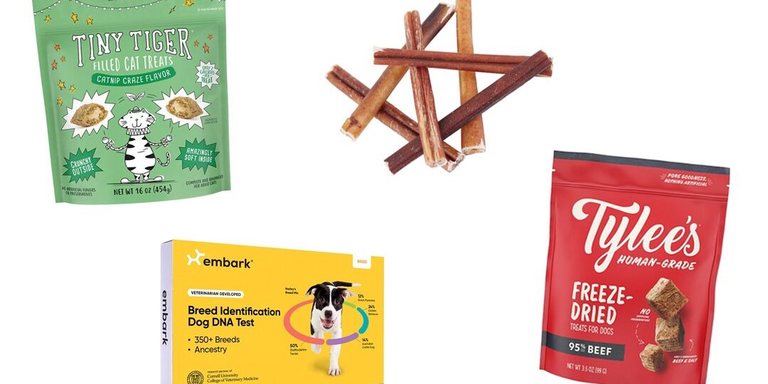 Our Fave Chewy Deals to Shop for National Pet Month | NurturedPaws.com/Blog