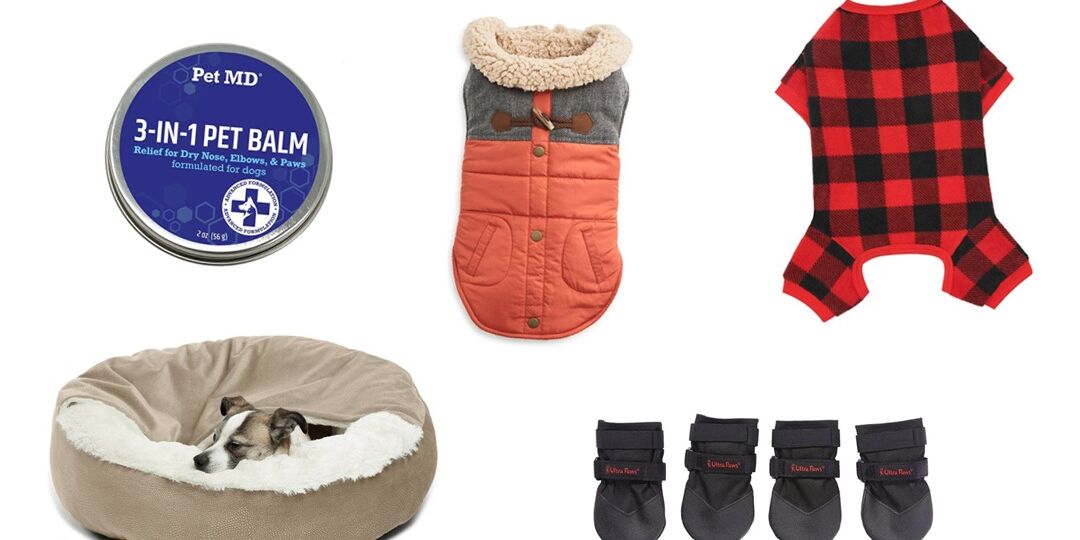 Winter Essentials for Your Dog from Chewy | NurturedPaws.com/Blog