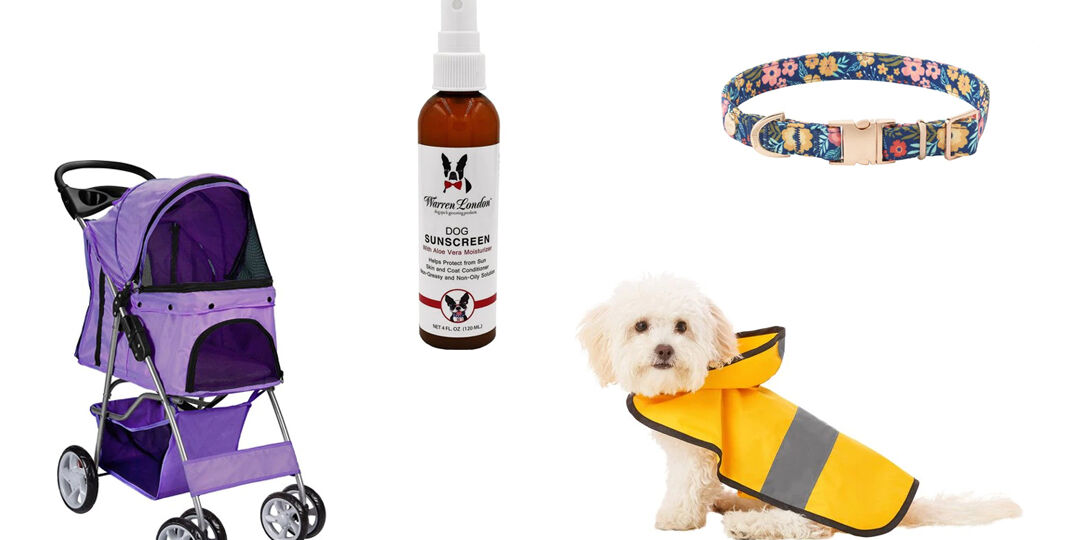 Must-Have Spring Pet Accessories For Warmer Weather | NurturedPaws.com/Blog