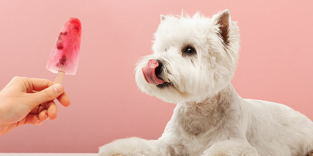 Watermelon Pupsicles {Frozen Dog Treats} - Belly Full