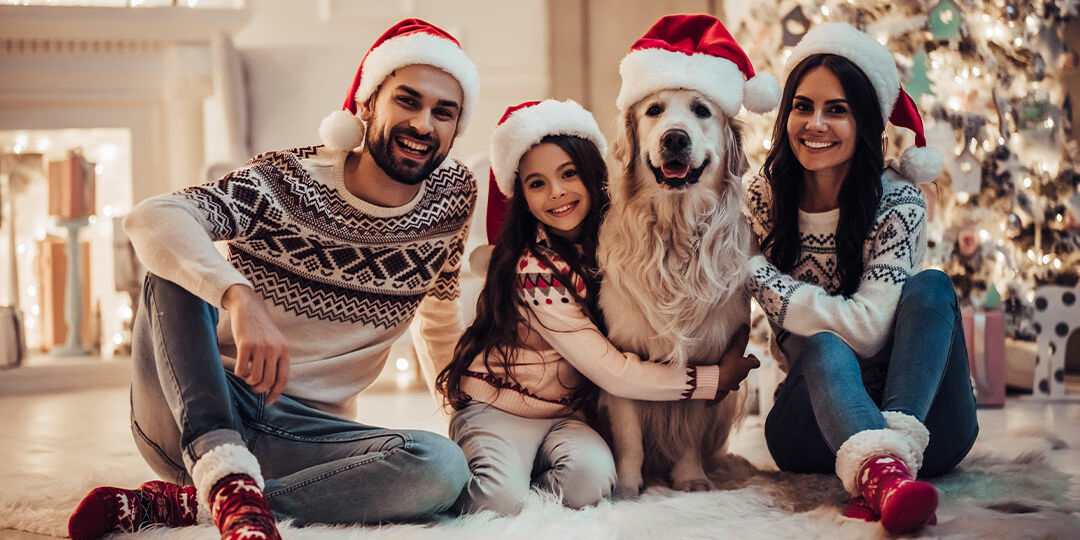 NP_Article_Pet-Friendly-Holiday-Atmosphere_Feature-Image